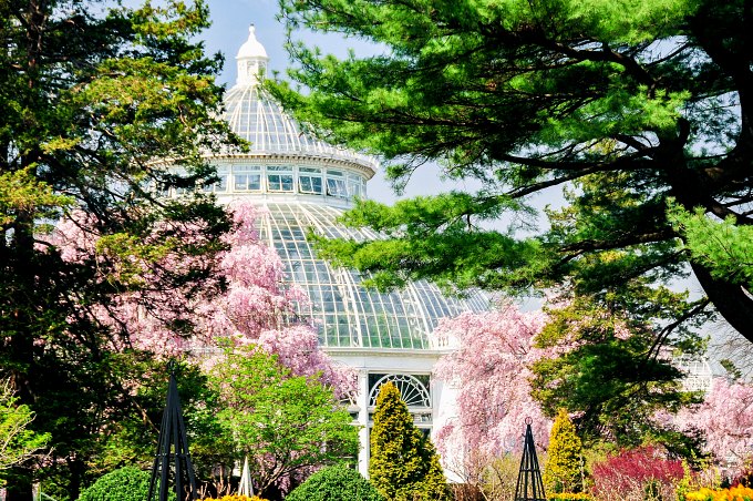 A tree surrounded view of a conservatory at the New York Botanical Garden.