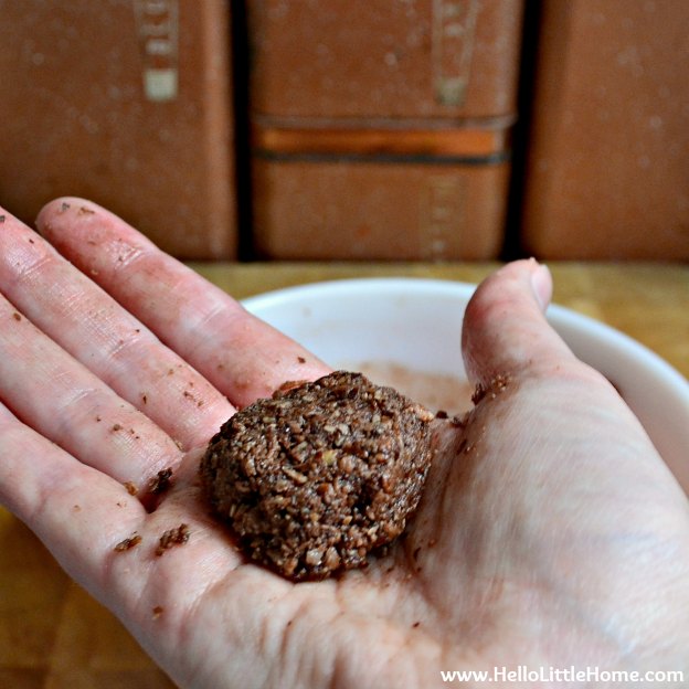 A hand holding a shaped chocolate coconut cookie.