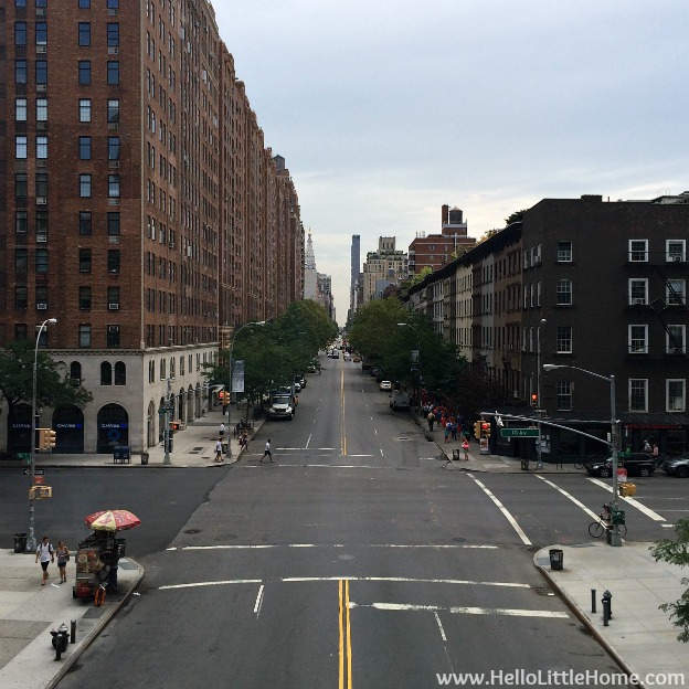 Explore NYC with Me: The High Line | Hello Little Home