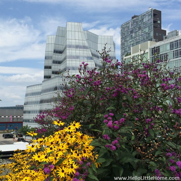 Explore NYC with Me: The High Line - Flowers | Hello Little Home