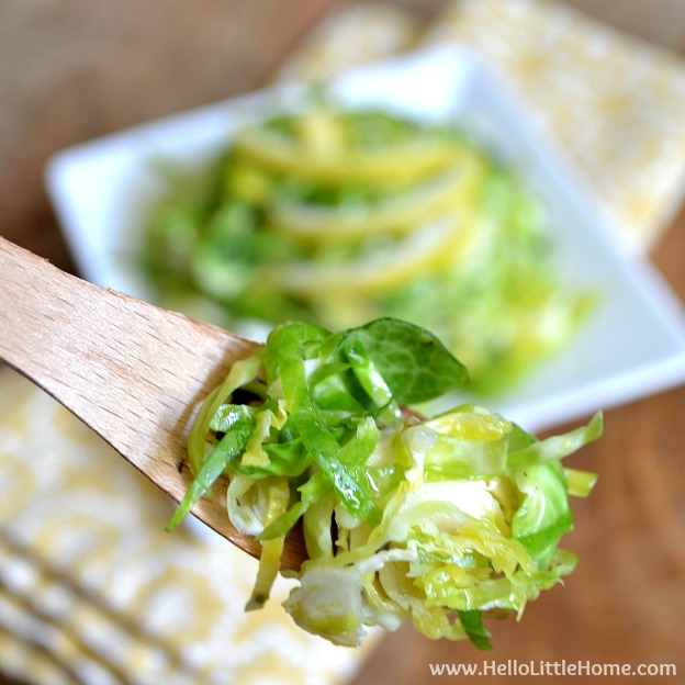 Learn how to make a delicious Shredded Brussels Sprout Salad with a tasty Lemon-Garlic Vinaigrette! This easy vegan Brussel Sprout Salad is light, fresh, ready in minutes, and the perfect side dish for any meal! Make these Shredded Brussels Sprouts tonight! | Hello Little Home #vegan #raw #BrusselsSprouts