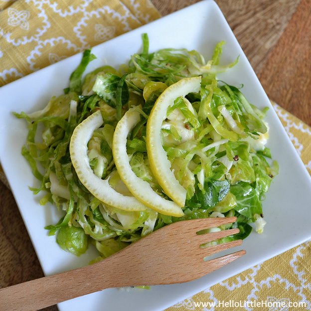 Shredded Brussels Sprout Salad with Garlic Lemon Vinaigrette ... yum! Get this easy recipe + 100 other vegetarian fall recipes that are perfect for any occassion! | Hello Little Home