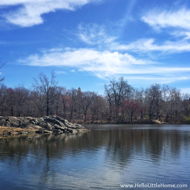 The Lake in Central Park | Hello Little Home