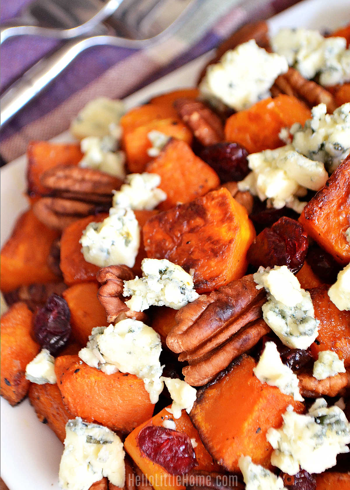 A plate of roasted squash topped with cranberries, pecans, and blue cheese.