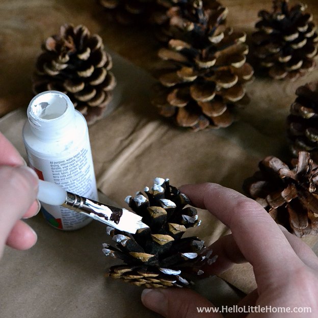 Painting pine cone tips with white paint.