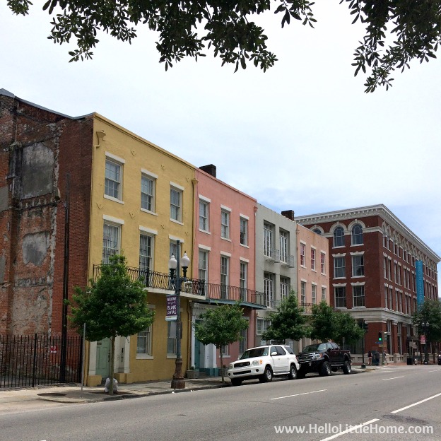 Spend a weekend in New Orleans with me! Exploring NOLA's vibrant Warehouse District! | Hello Little Home
