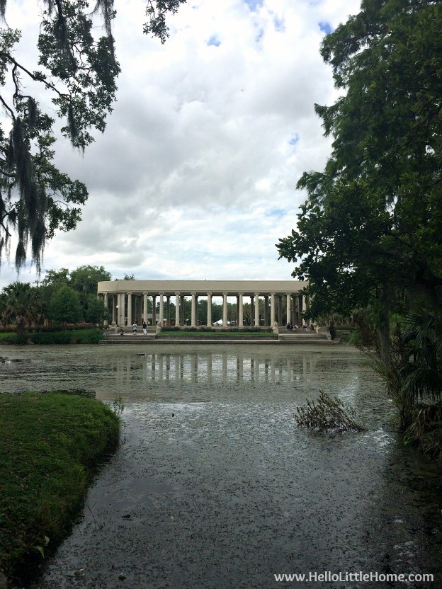Spend a weekend in New Orleans with me! Wandering the beautiful and expansive City Park in NOLA! | Hello Little Home