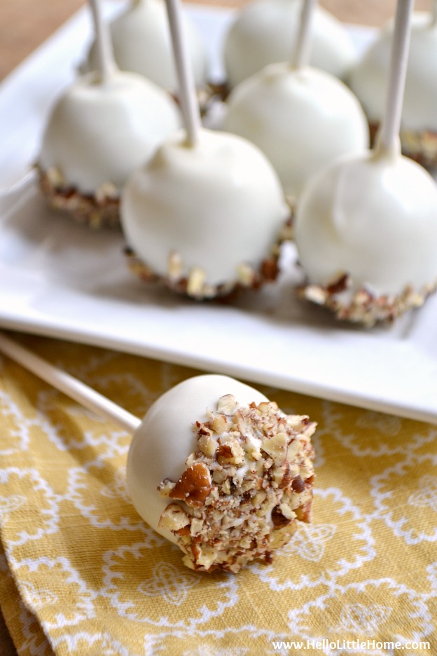 Pecan Pumpkin Spice Cake Pops ... delicious, fall-flavored treats that are simple to make! This easy cake pop recipe is sure to become a favorite fall recipe! | Hello Little Home