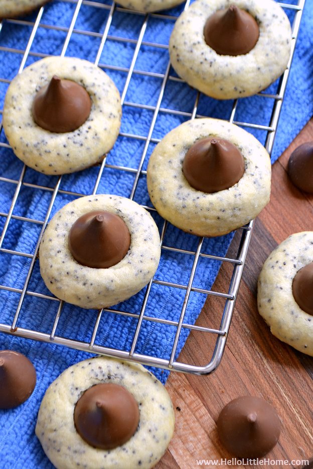 Poppy Seed Kiss Cookies ... this delicious cookie recipe is a family favorite! Unique and fun to make, you'll want to make these Christmas cookies every holiday season! | Hello Little Home