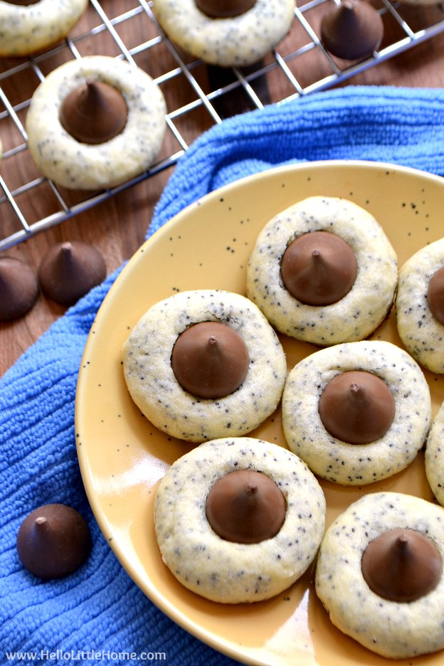 Poppy Seed Kiss Cookies ... this delicious cookie recipe is a family favorite! Unique and fun to make, you'll want to make these Christmas cookies every holiday season! | Hello Little Home