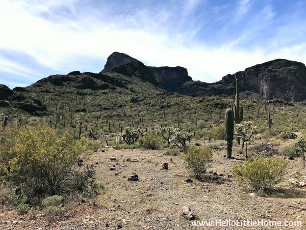 Exploring Picacho Peak State Park during an El Paso to Phoenix Road Trip! Travel from Texas to Arizona with lots of fun stops along the way, including White Sands National Monument and MLB spring training! Find out the best things to do in El Paso and Phoenix, from can't miss sights to delicious restaurants! | Hello Little Home