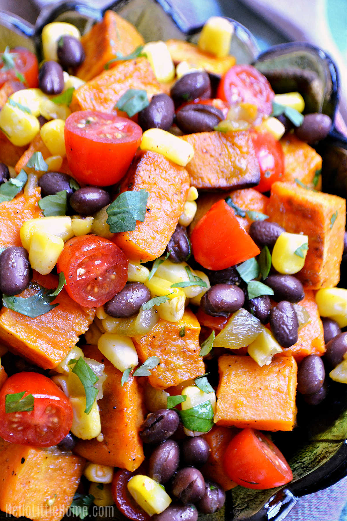 A closeup of the finished Black Bean Sweet Potato Salad recipe.