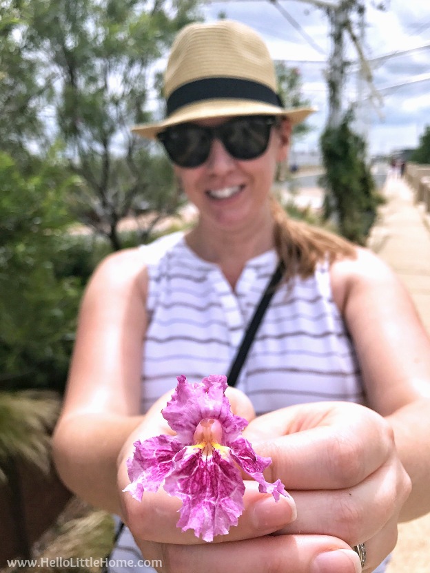 A woman holding a flower in front of her outside.