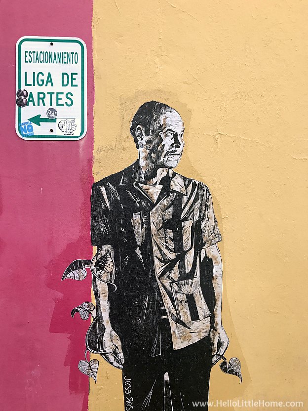 Street Art in Old San Juan | Hello Little Home