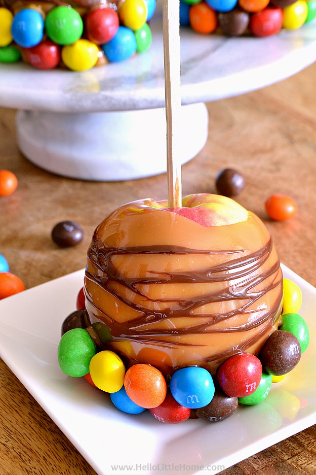 How to Make Gourmet Caramel Apples! This homemade caramel apples recipe is the perfect fall or Halloween dessert! Learn how to make DIY gourmet caramel apples the easy way! | Hello Little Home