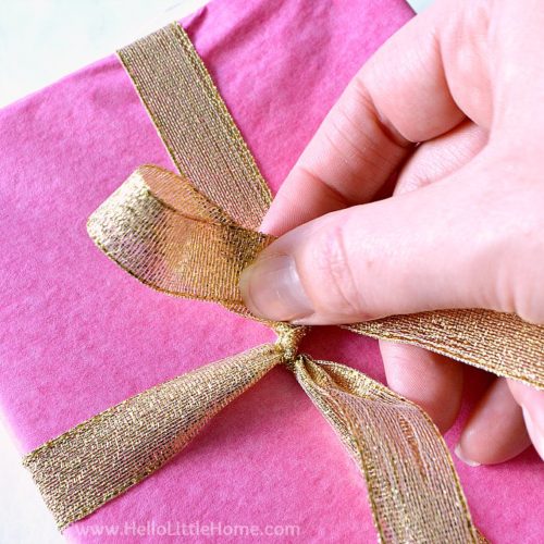 How to Tie a Bow (StepbyStep) Tutorial + Video) Hello Little Home