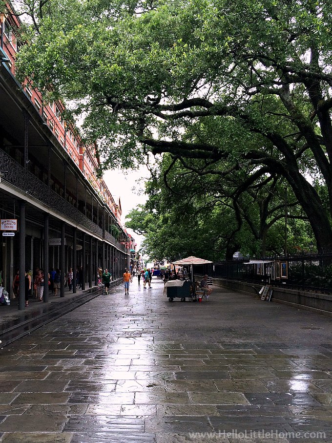 A rainy street in New Orleans in the French Quarter