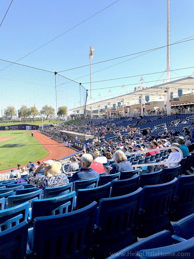 People sitting in the stands at a spring training game.