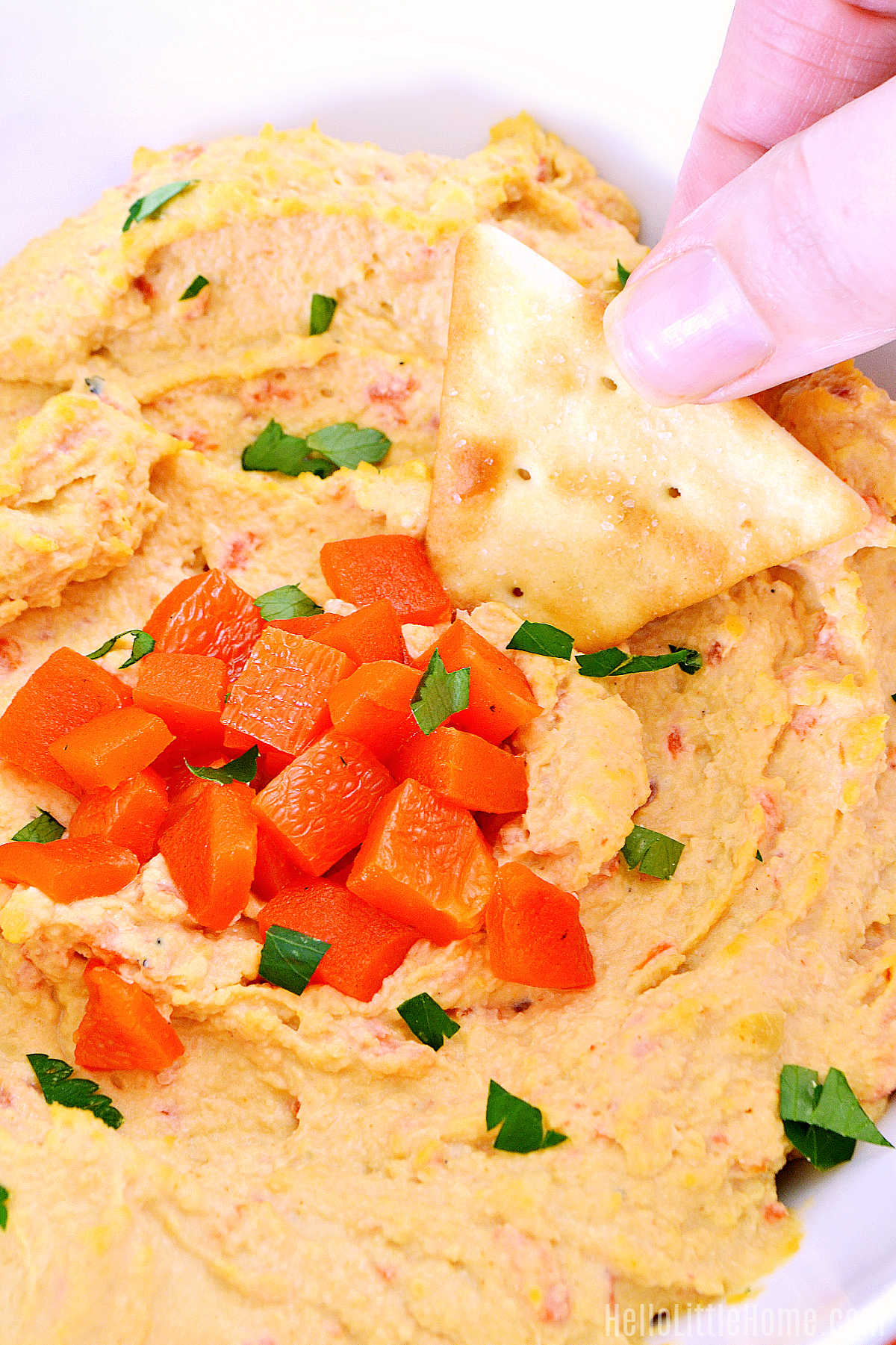 A hand dipping a pita chip in the bell pepper hummus.