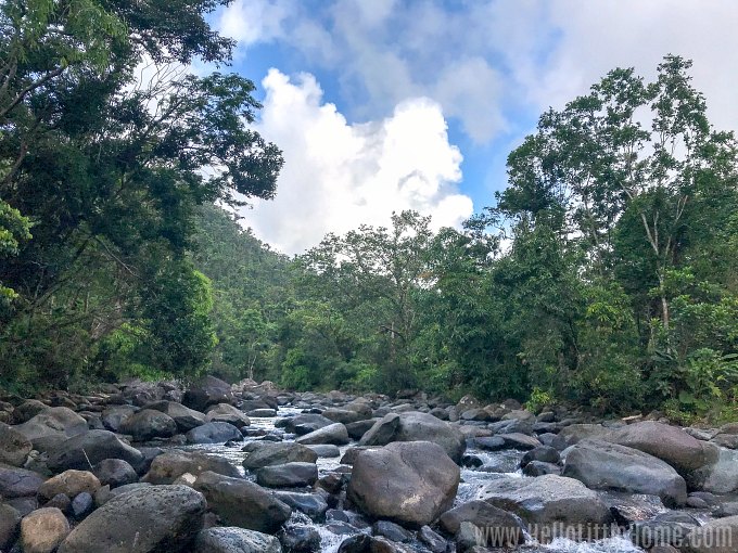 Rocky Mamayes River at the Puente Roto day use area in El Yunque National Forest.