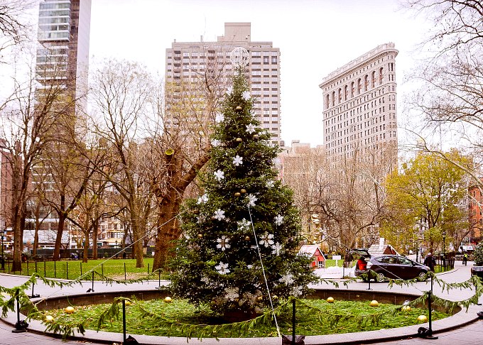 A Christmas tree in Madison Square Park.