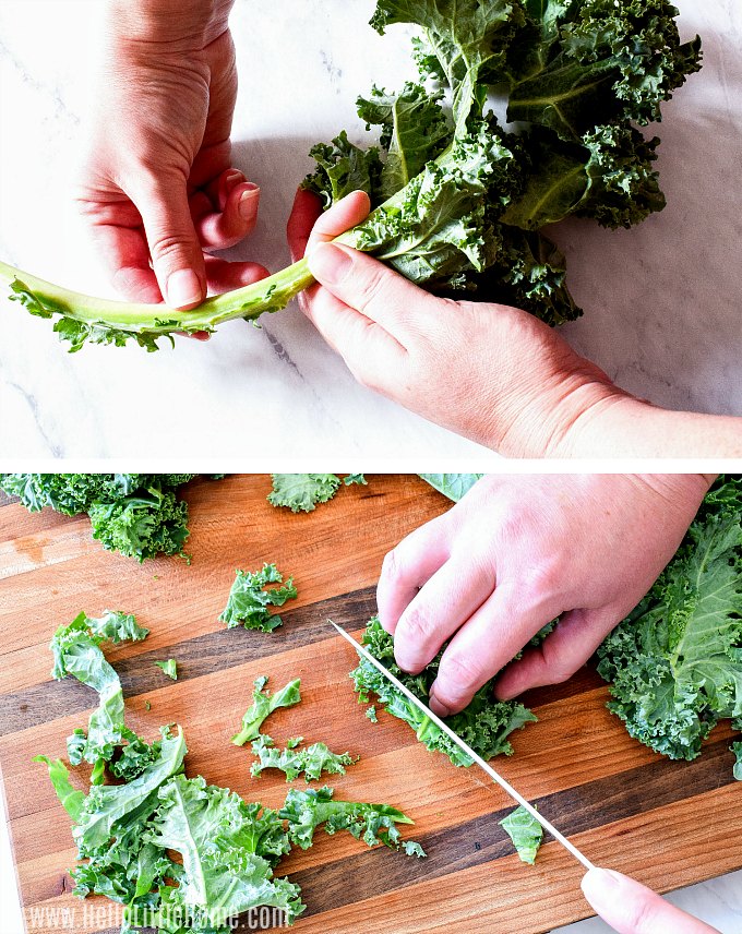 Preparing kale for salad: de-stemming and slicing kale.