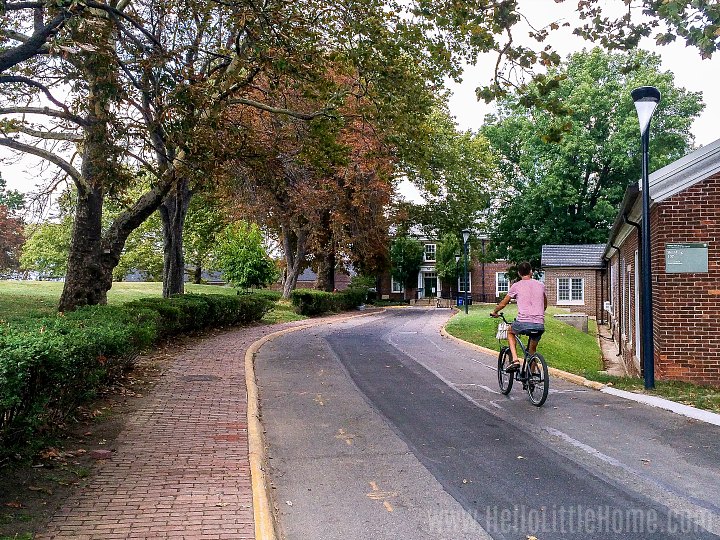A man biking on a Governors Island road.