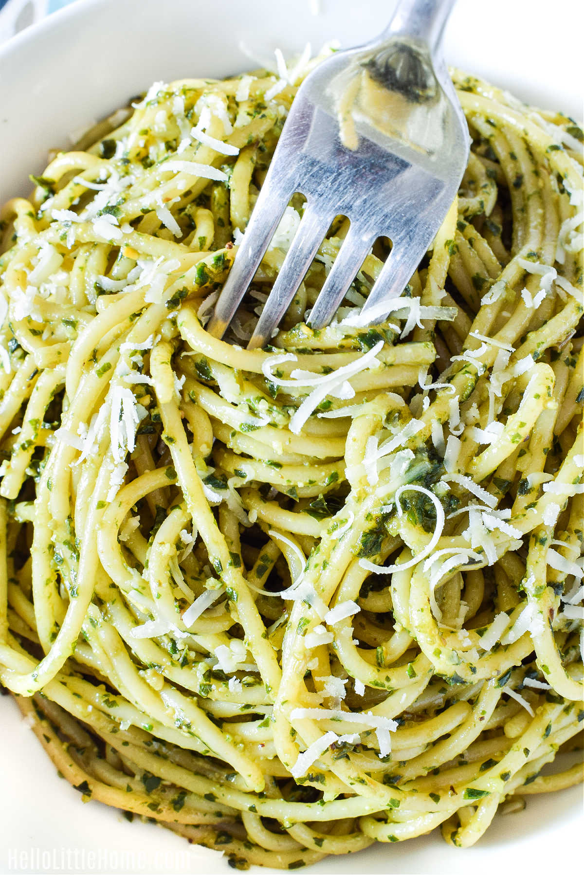 Closeup of a bowl of the finished spaghetti with a fork in it.