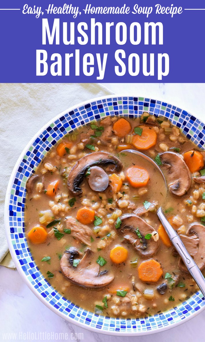 A Mushroom Barley Soup recipe served in a blue patterned bowl with a spoon in it.