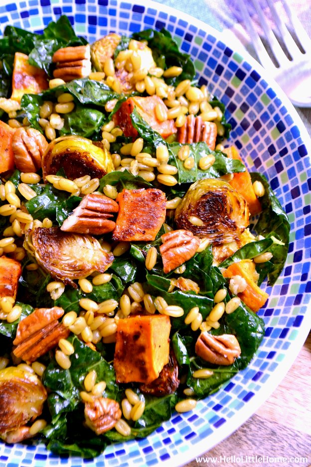 A closeup of the warm winter grain salad in a blue patterned bowl.