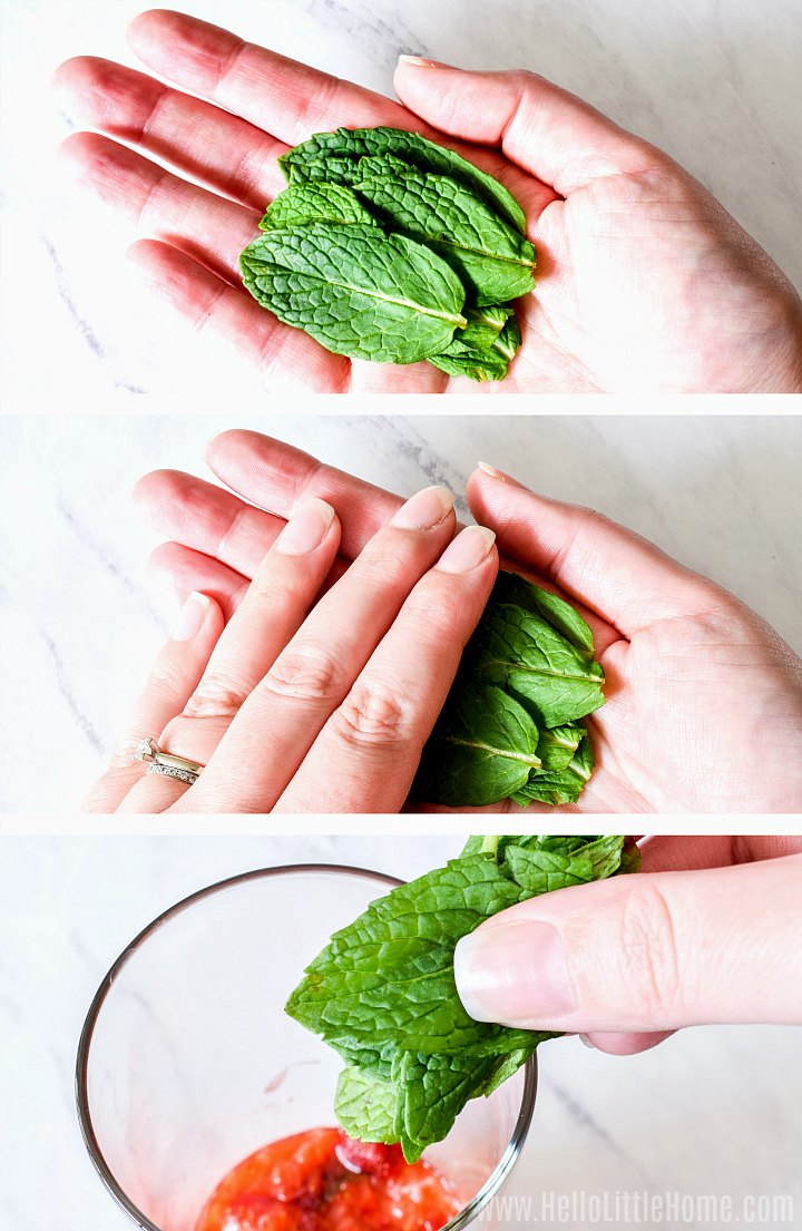 A photo collage showing how to prepare mint leaves for the mojito.
