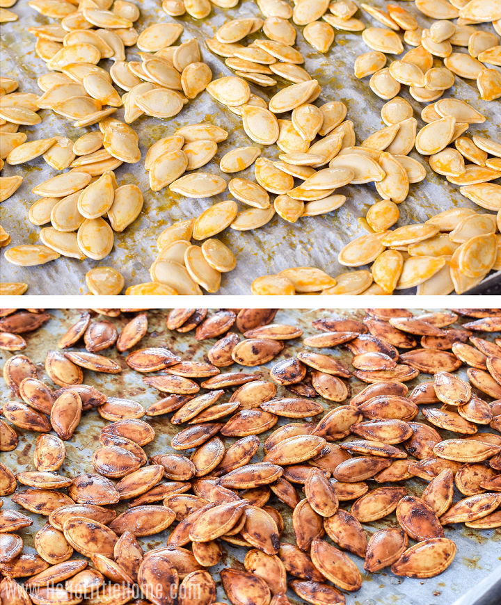 A photo collage showing pumpkin seeds on a baking sheet before and after roasting.