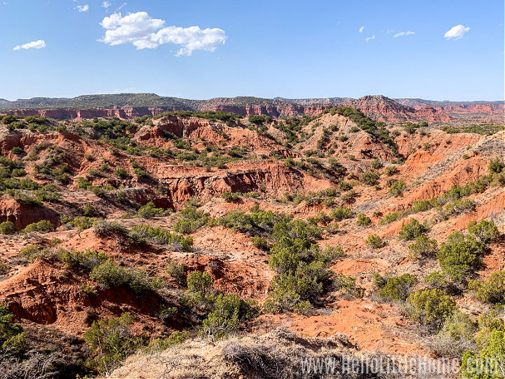 A view of the canyon at Caprock Canyon State Park.