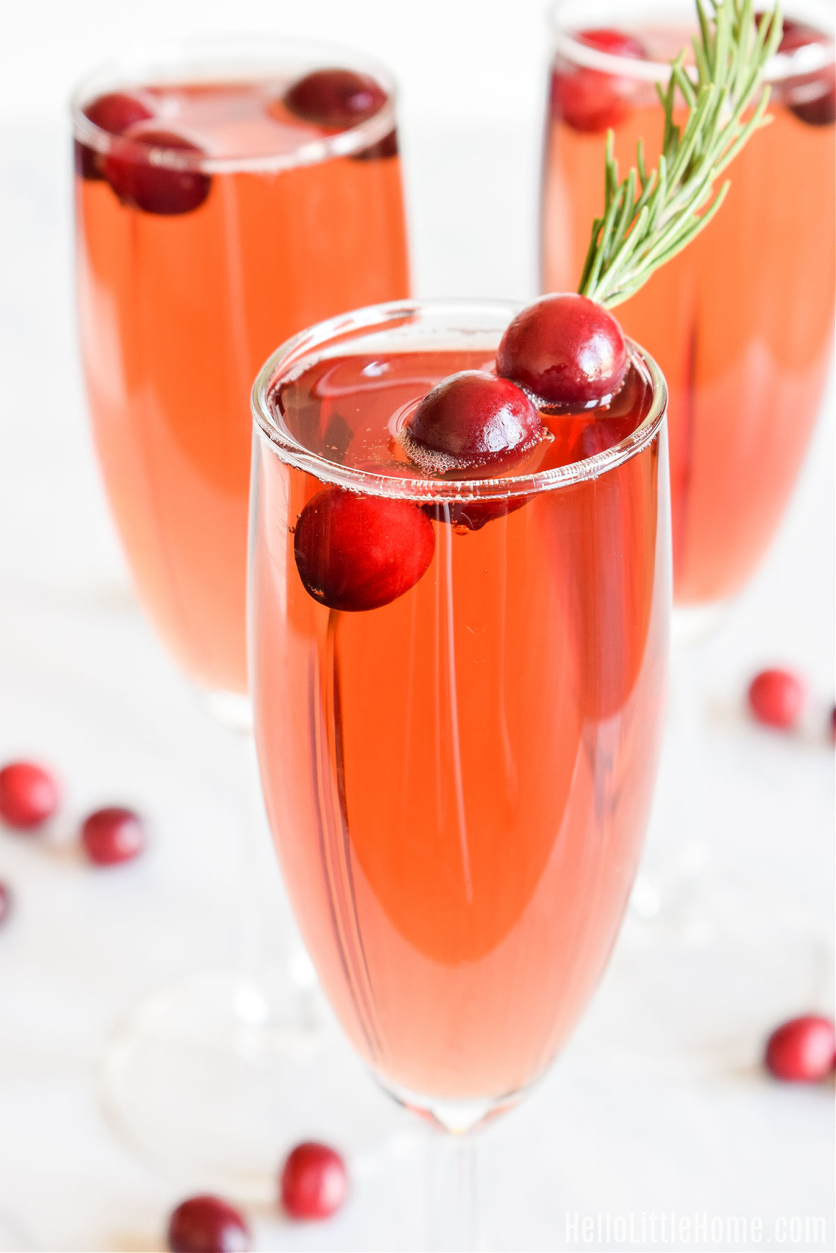 A closeup of the finished cranberry juice and champagne cocktail garnished with a sprig of rosemary.