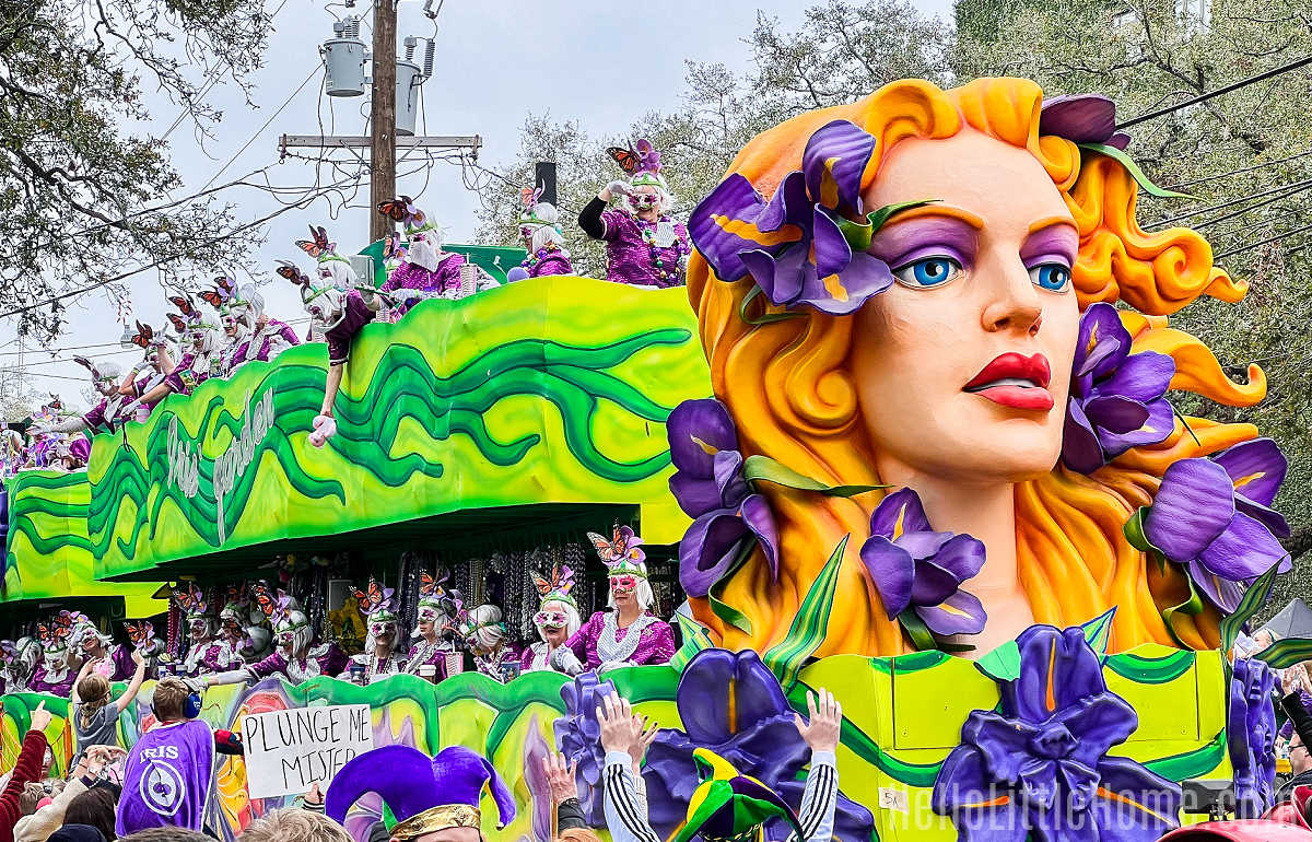 People surrounding a colorful Mardi Gras float.