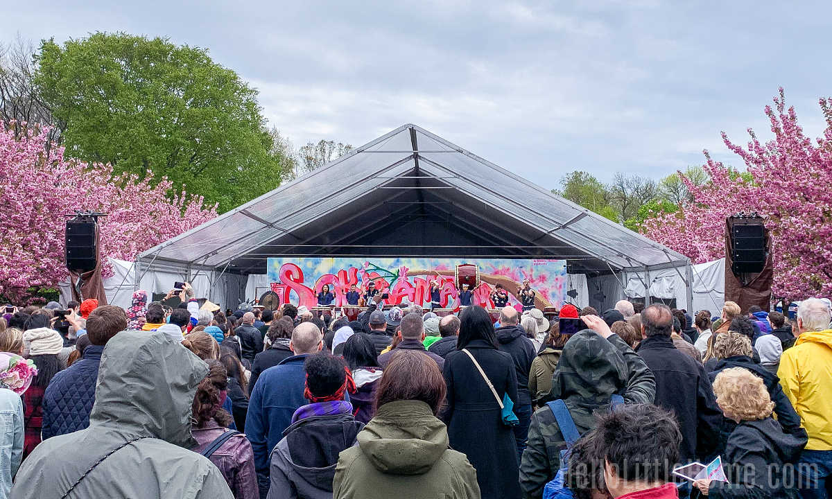 A crowd watching a performance at Sakura Matsuri Festival in Brooklyn.