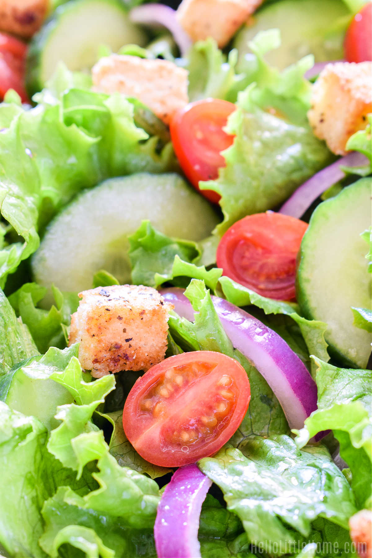 Closeup of the finished salad topped with tomatoes, cucumber, red onions, and croutons.