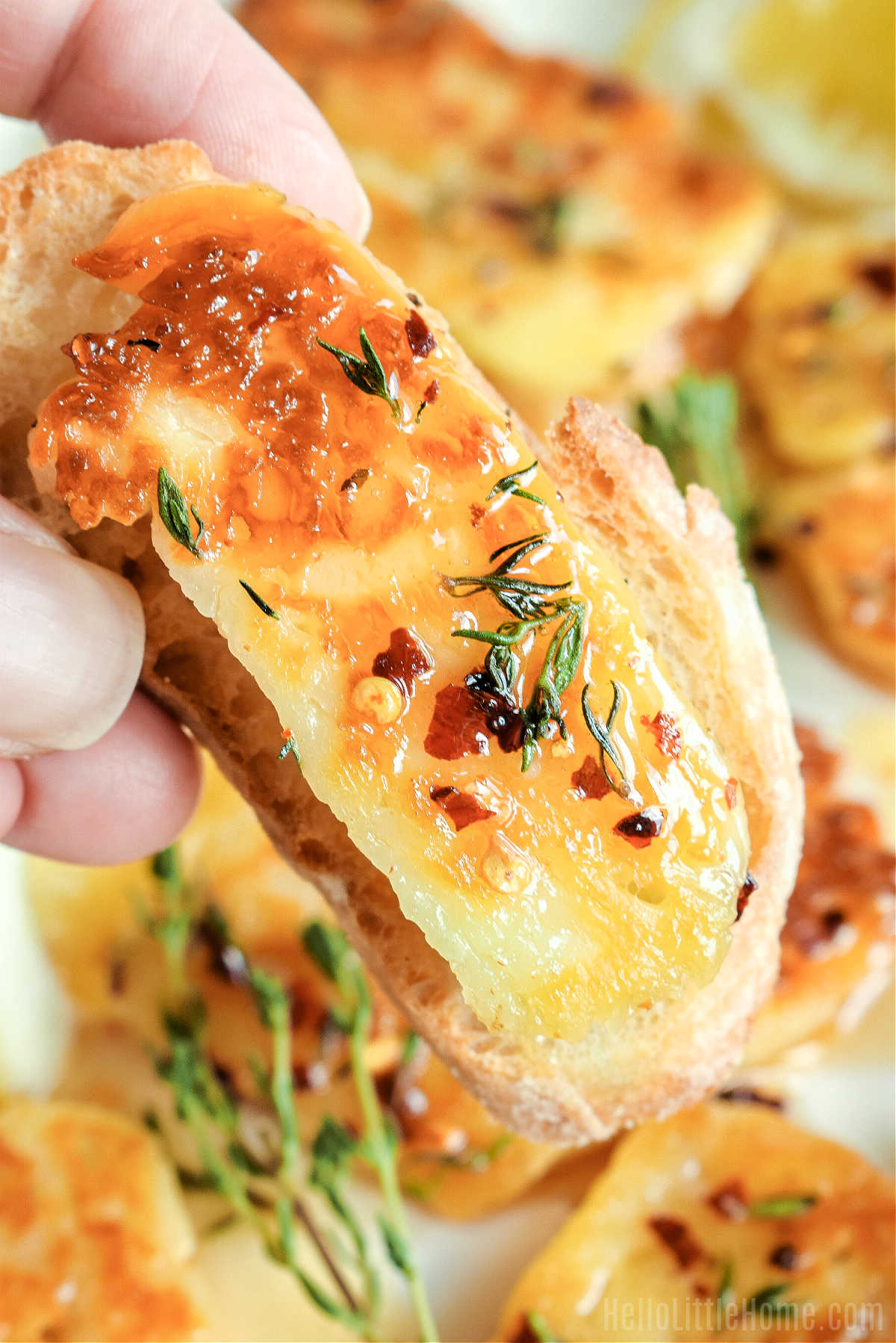 A hand holding a slice of crostini topped with fried halloumi.