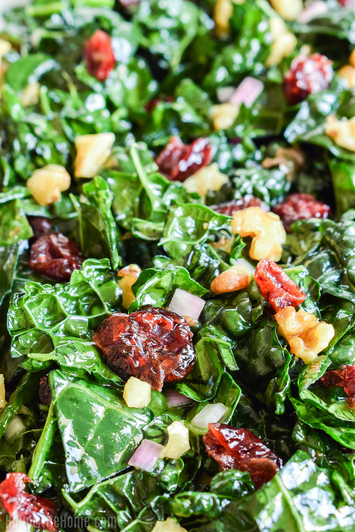 A closeup of the finished salad topped with cranberries and nuts.