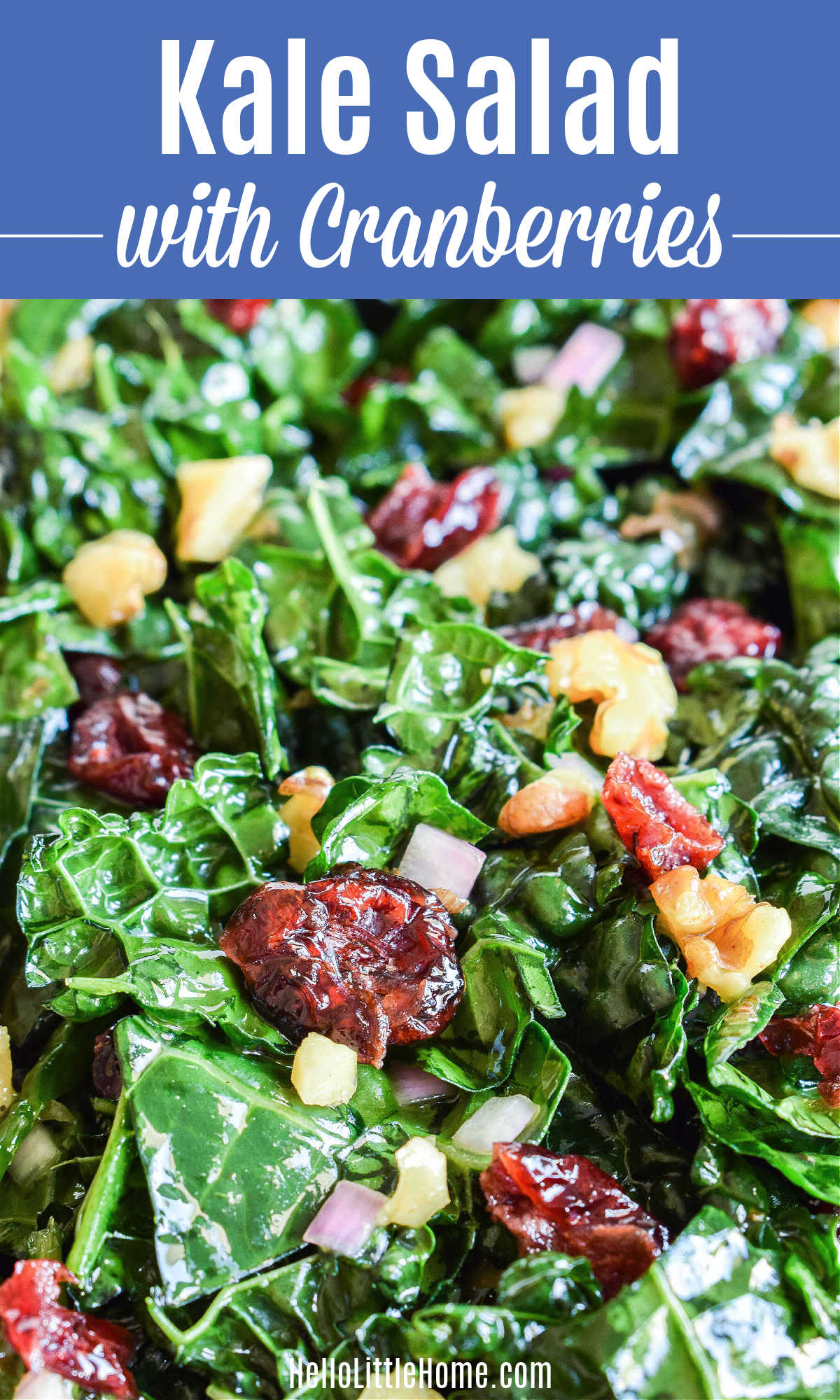 Closeup of Kale Salad with Cranberries and Walnuts.