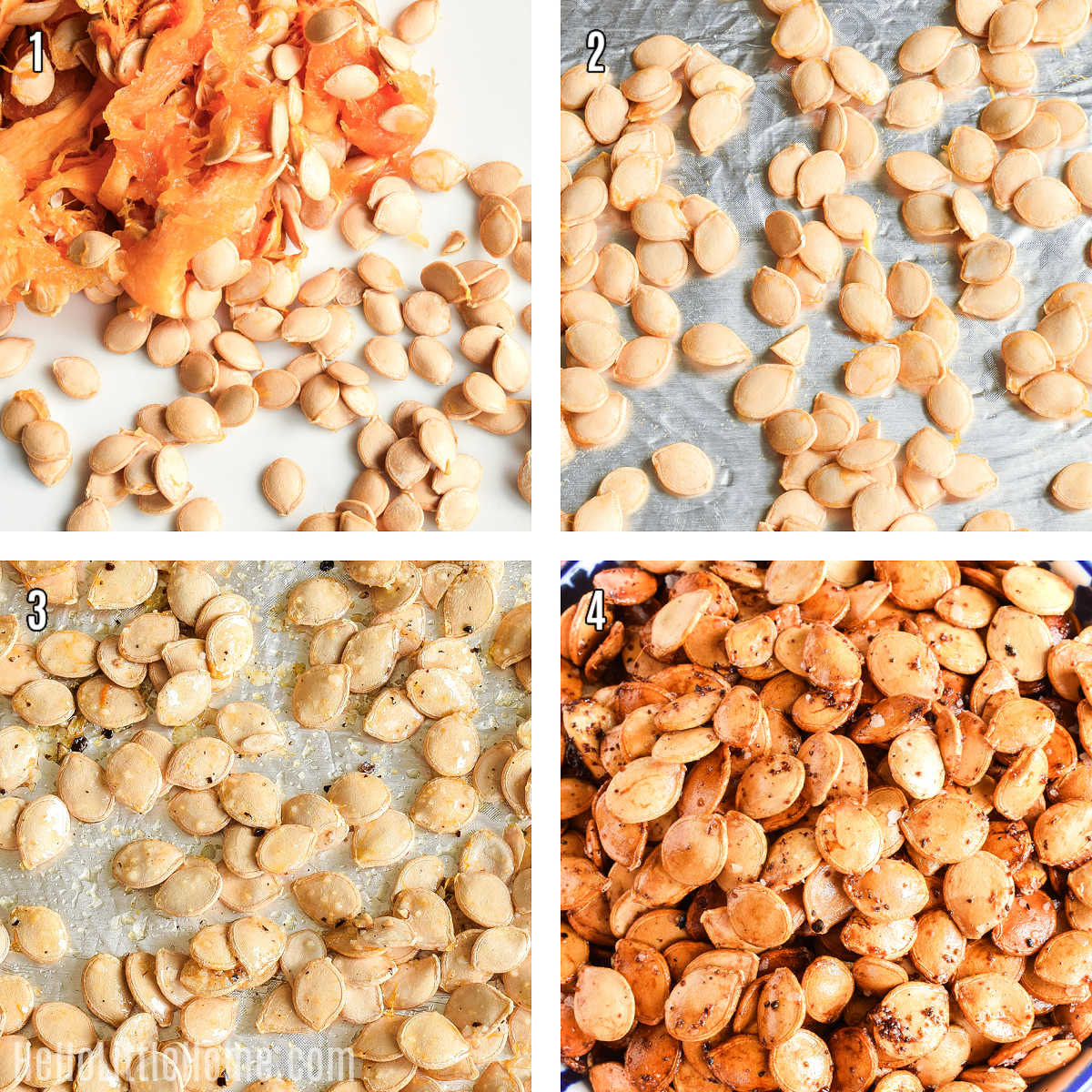 A photo collage showing how to roast squash seeds step-by-step.