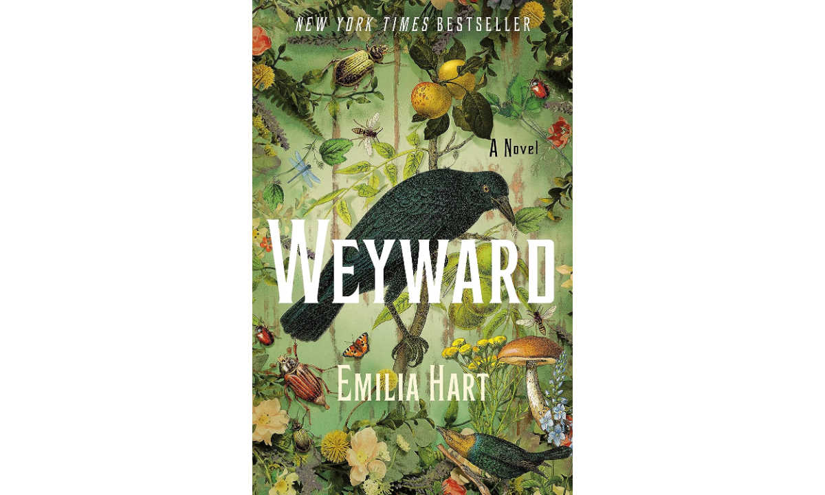 The cover of Weyward by Emilia Hart.