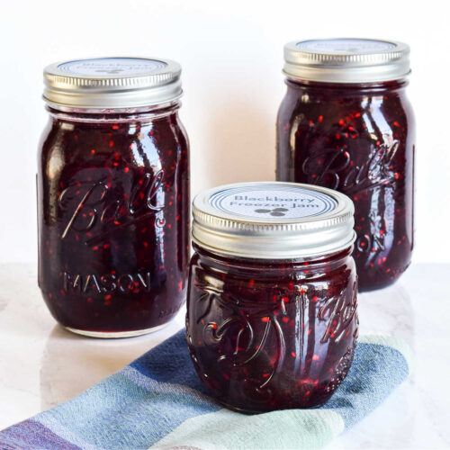 Blackberry Freezer Jam (Quick + Easy Recipe) | Hello Little Home