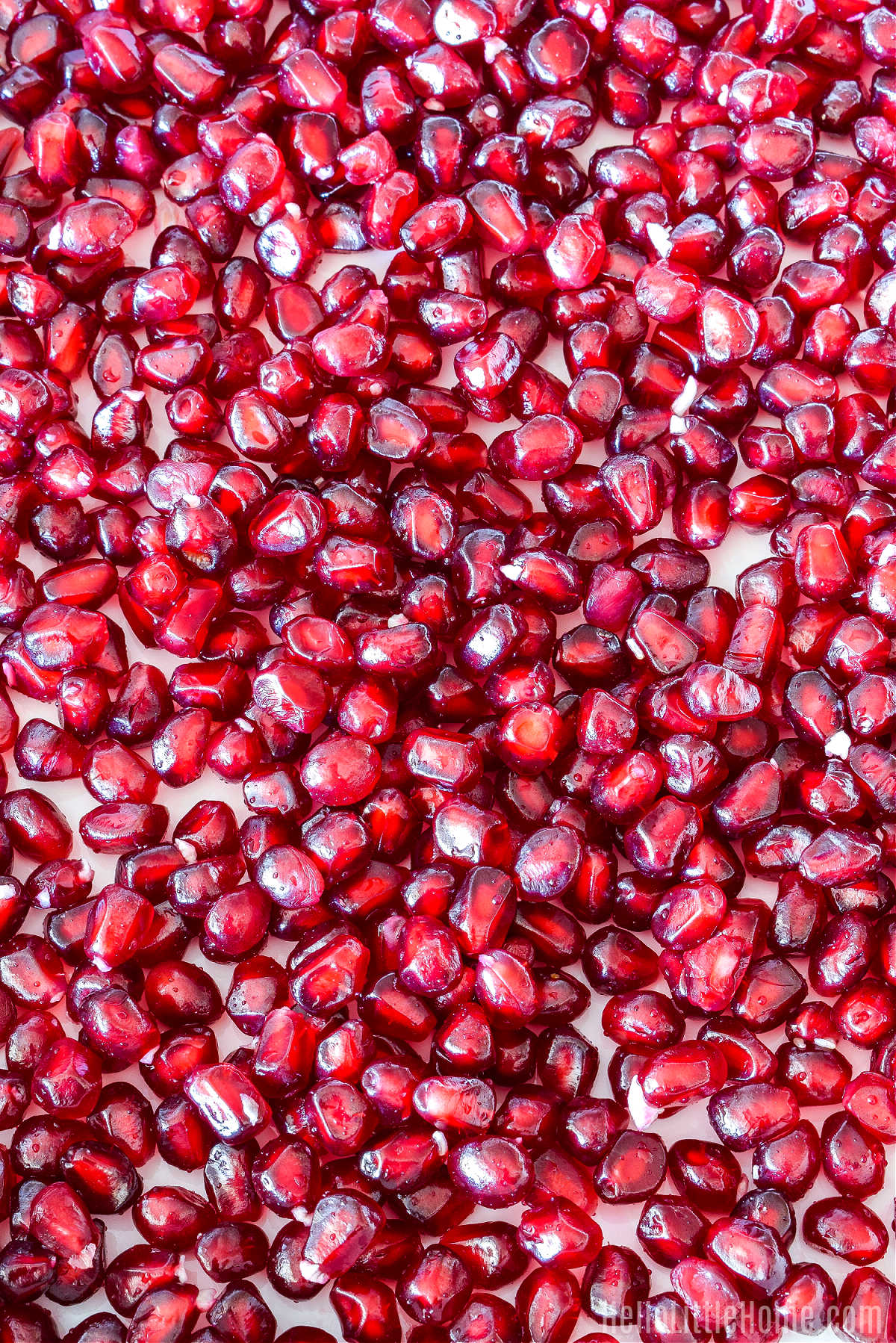 Closeup of a plate topped with a bunch of pomegranate arils.