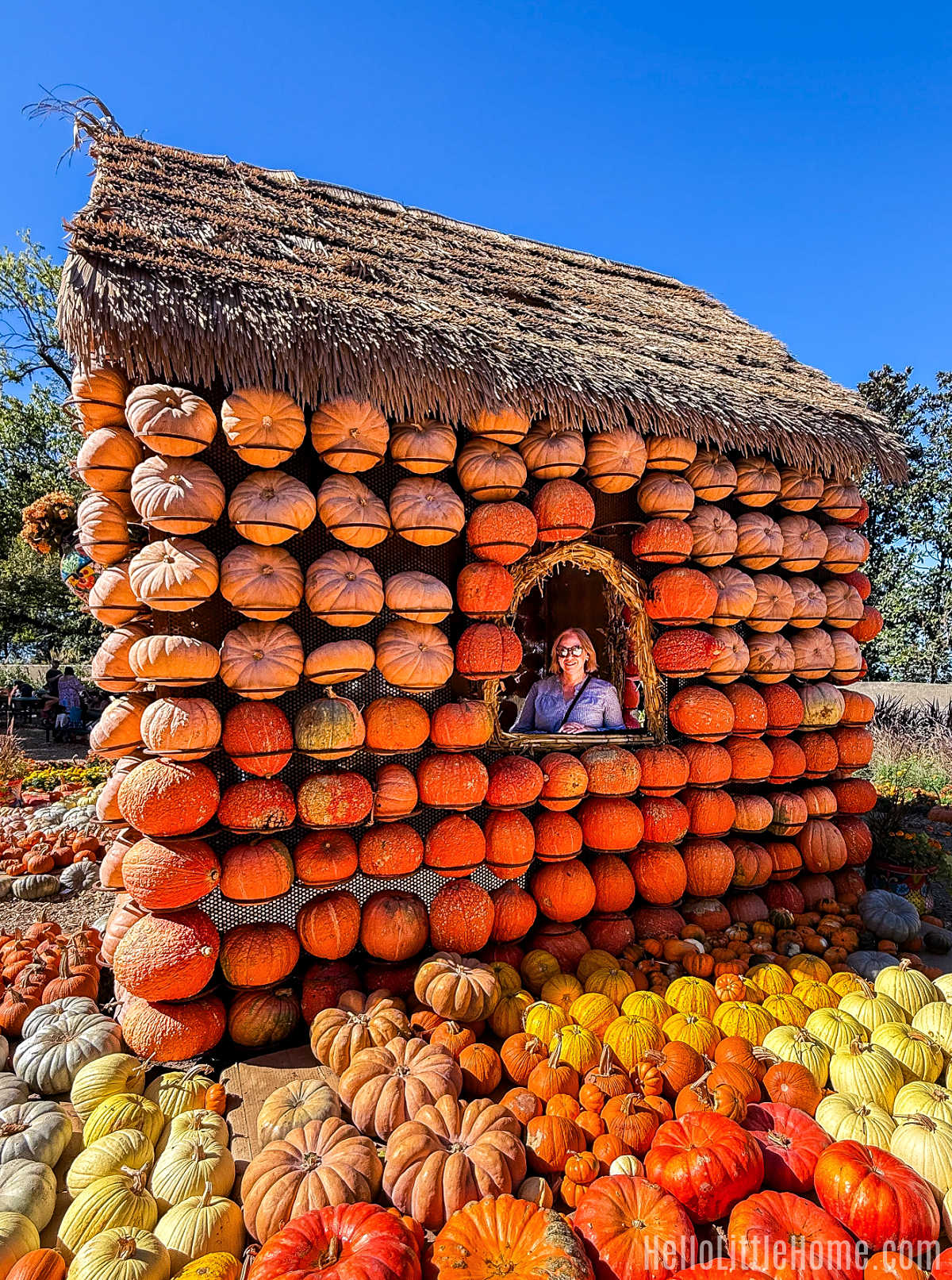 The author peeking out of a pumpkin house at the Dallas Arboretum and Botanical Garden.