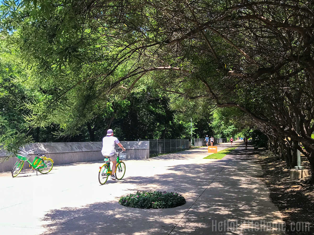 A bicyclist riding on the Katy Trail.