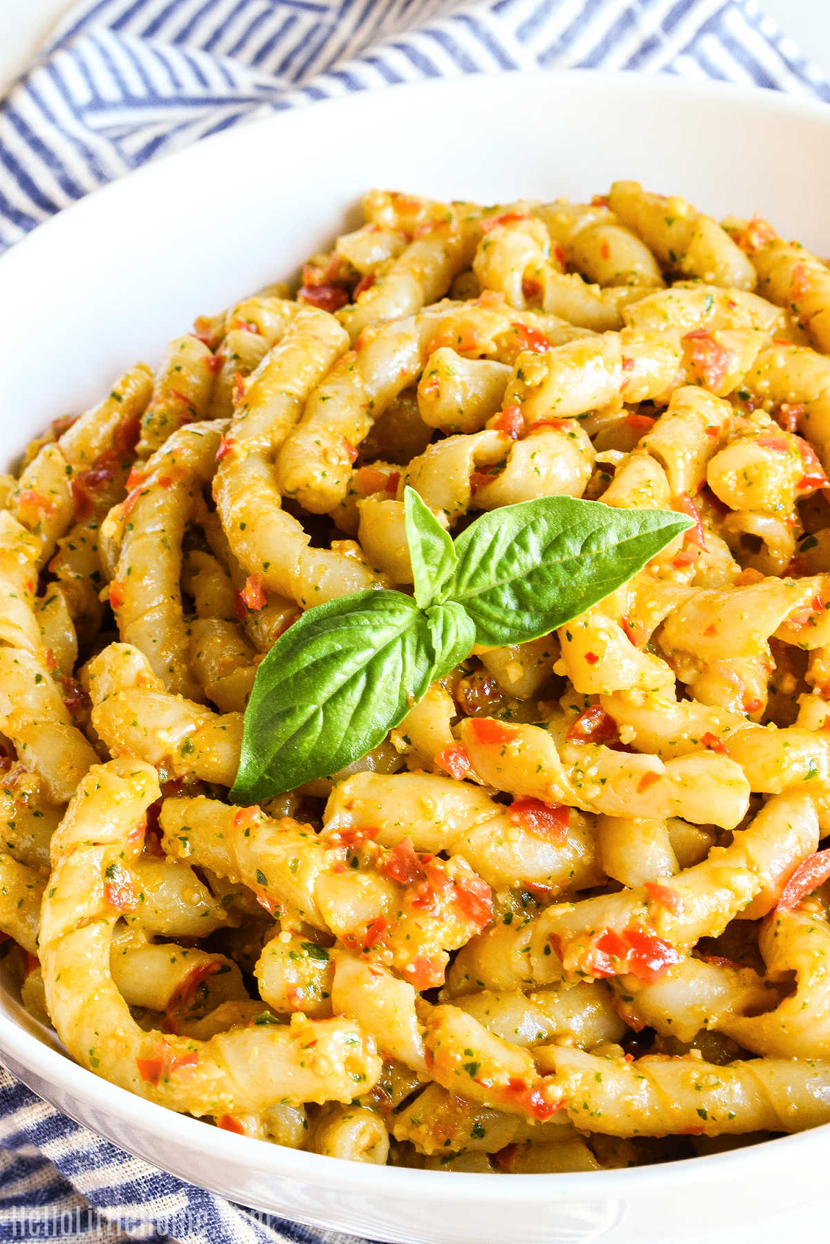 Closeup of the finished pasta recipe served topped with a sprig of basil.