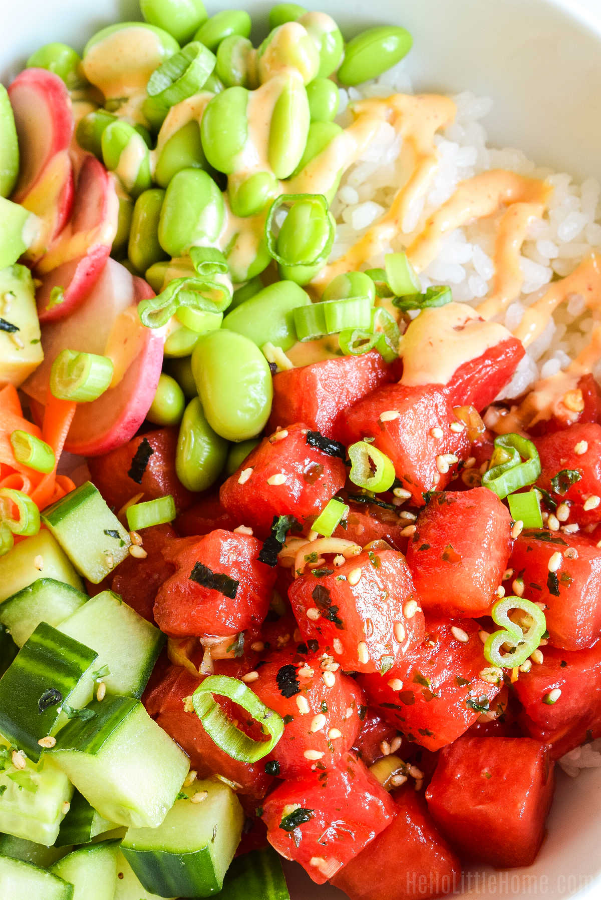 A closeup of the watermelon, veggies, and rice layered in the finished bowl.