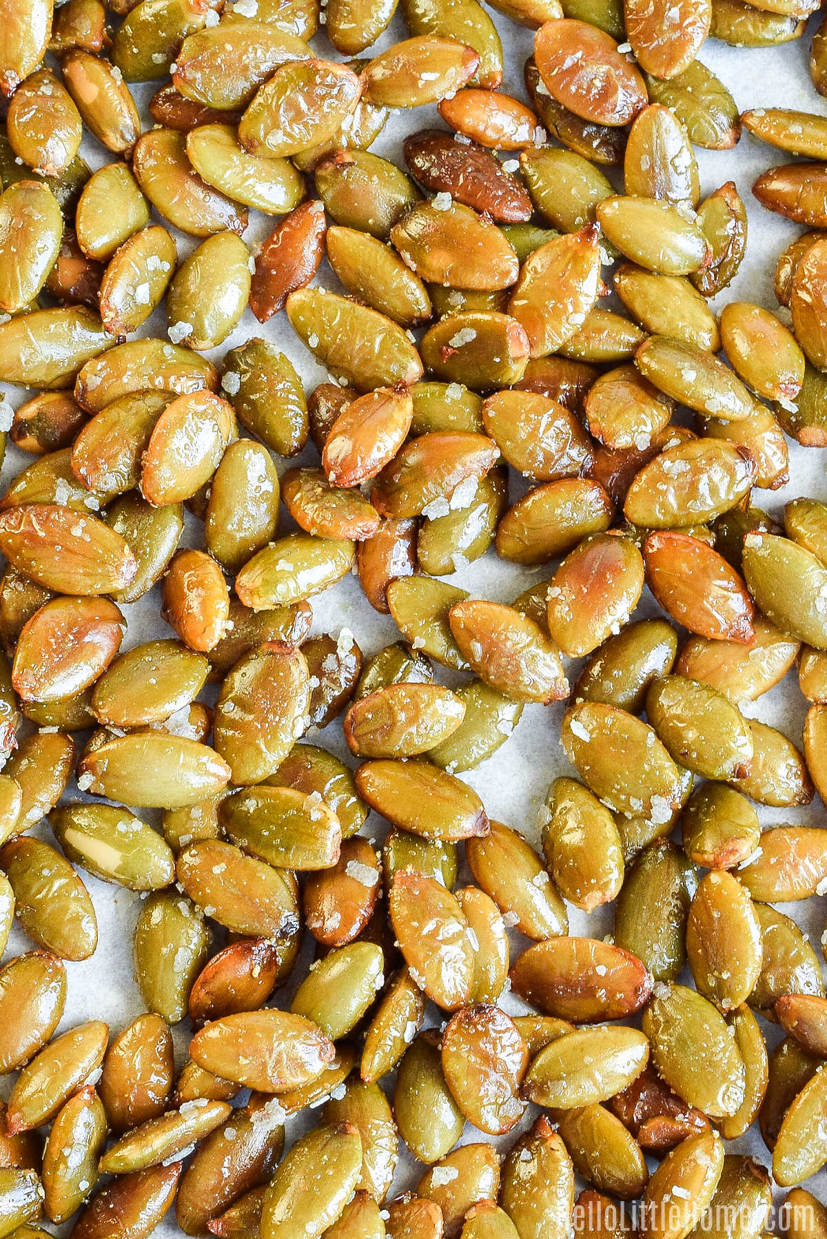 A closeup of the roasted pepitas on a baking sheet.