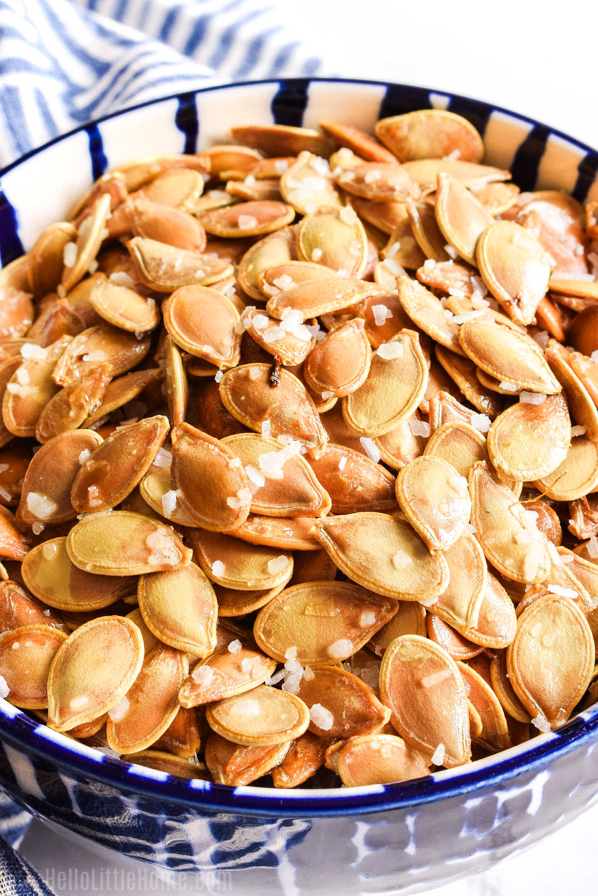 A closeup of the oven roasted and salted seeds.